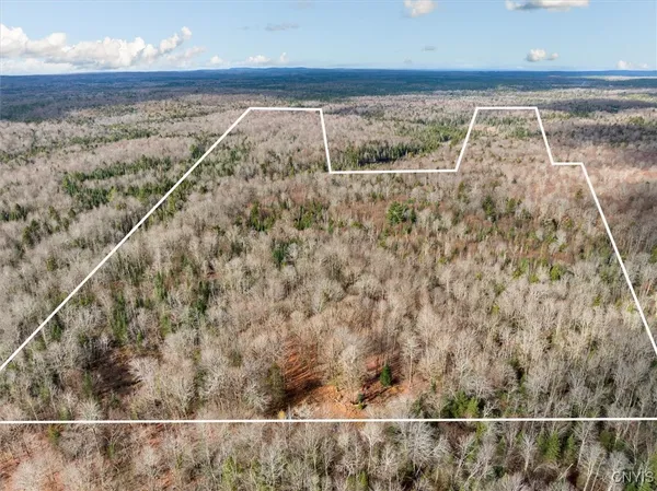 $160,000 | 0 Christman Road, Ohio, NY 13324