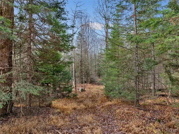 $160,000 | 0 Christman Road, Ohio, NY 13324