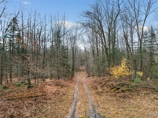 $145,000 | 0 Christman Road, Ohio, NY 13324