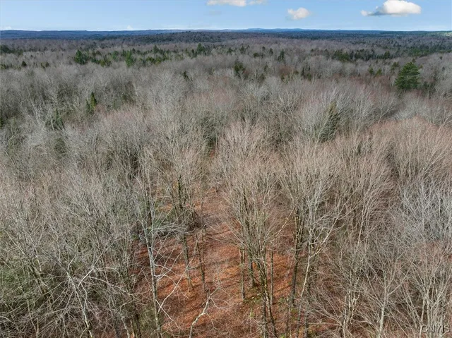 $145,000 | 0 Christman Road, Ohio, NY 13324