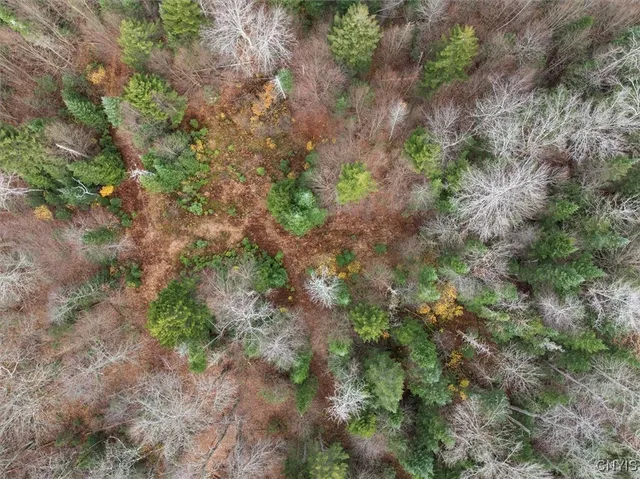 $145,000 | 0 Christman Road, Ohio, NY 13324