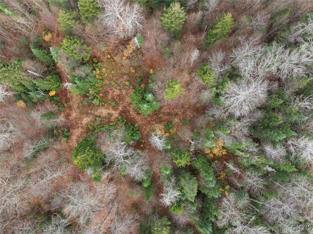 0 Christman Road Ohio, NY 13324 - Photo 14 of 22