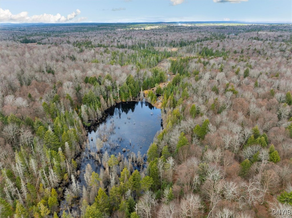 0 Christman Road Ohio, NY 13324 - Photo 15 of 22