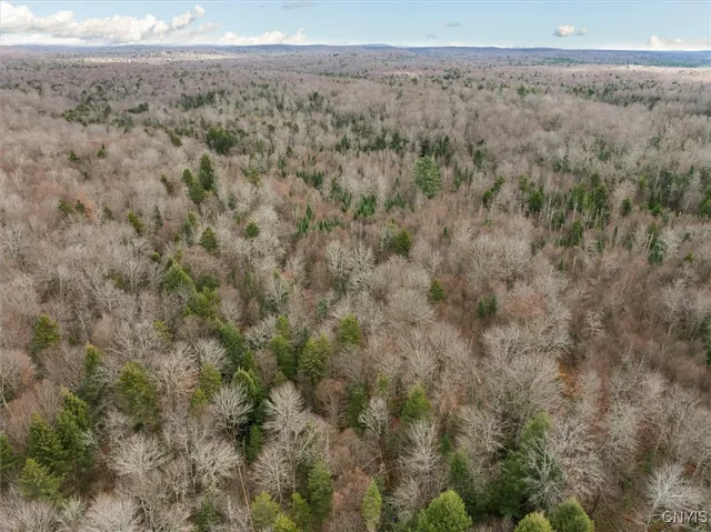 $145,000 | 0 Christman Road, Ohio, NY 13324