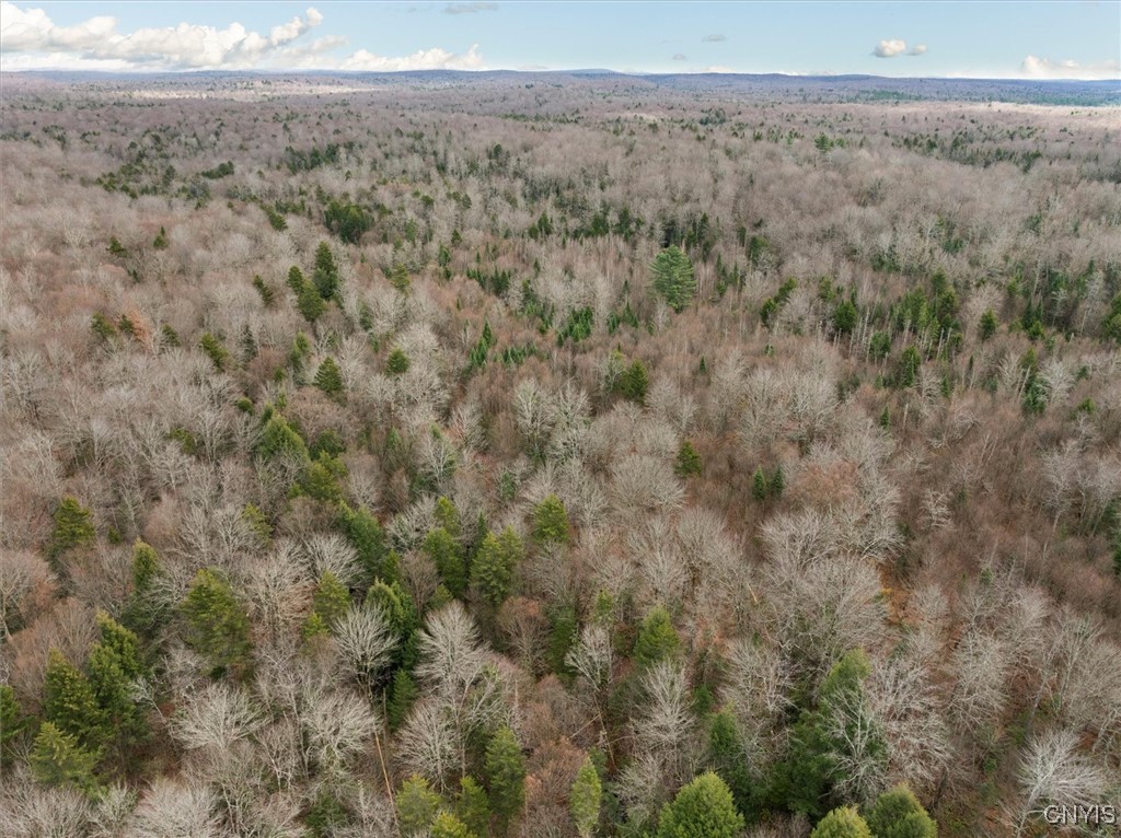 0 Christman Road Ohio, NY 13324 - Photo 16 of 22