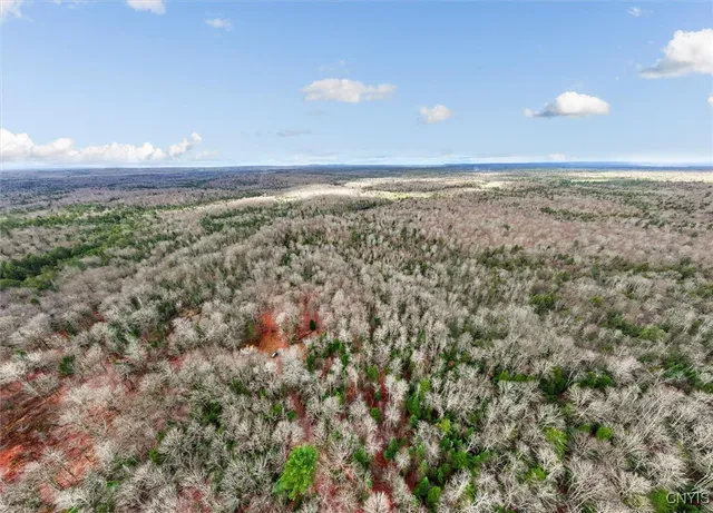 $145,000 | 0 Christman Road, Ohio, NY 13324