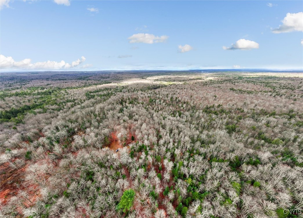 0 Christman Road Ohio, NY 13324 - Photo 17 of 22