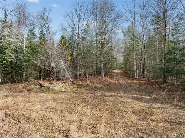 $145,000 | 0 Christman Road, Ohio, NY 13324