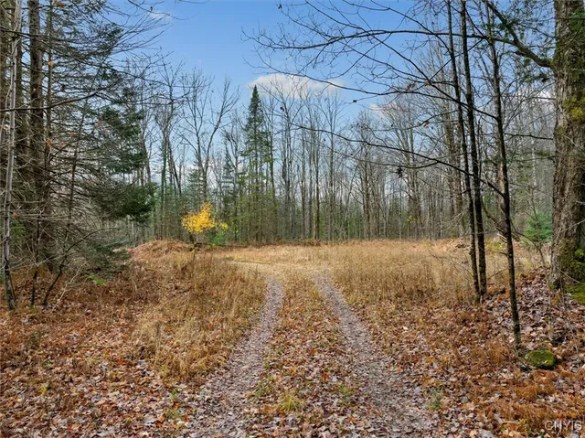 $145,000 | 0 Christman Road, Ohio, NY 13324