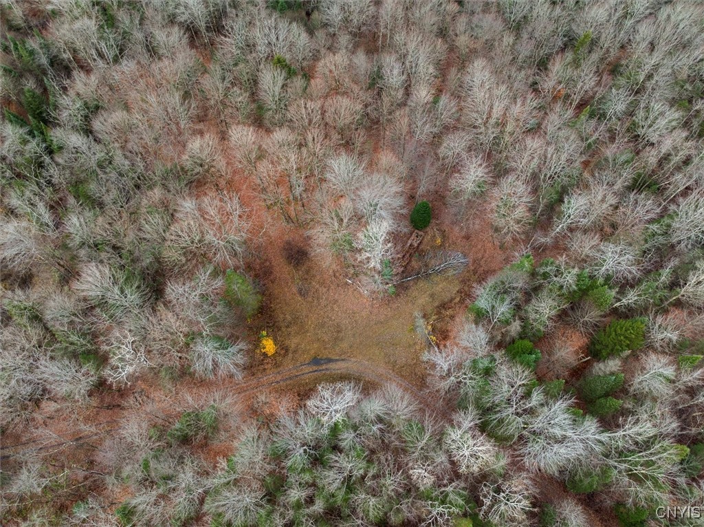 0 Christman Road Ohio, NY 13324 - Photo 20 of 22