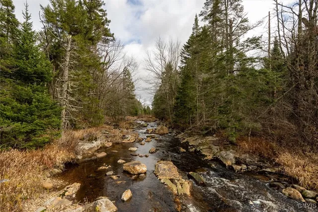 $145,000 | 0 Christman Road, Ohio, NY 13324