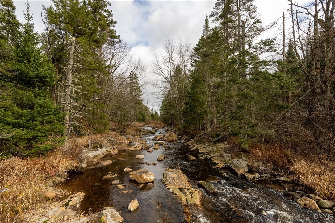 0 Christman Road Ohio, NY 13324 - Photo 2 of 22