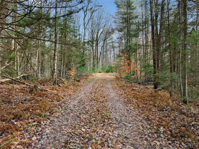 $145,000 | 0 Christman Road, Ohio, NY 13324