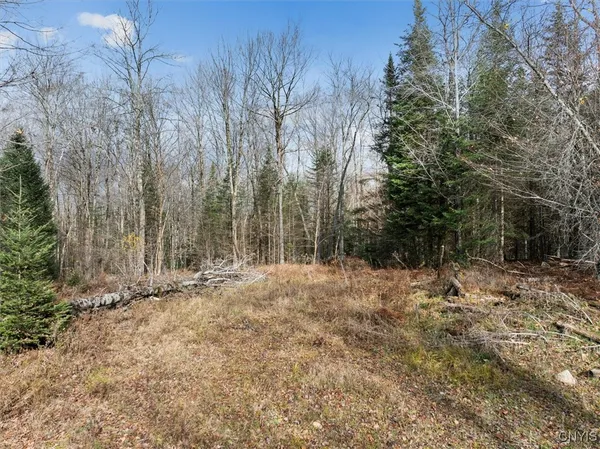 $160,000 | 0 Christman Road, Ohio, NY 13324
