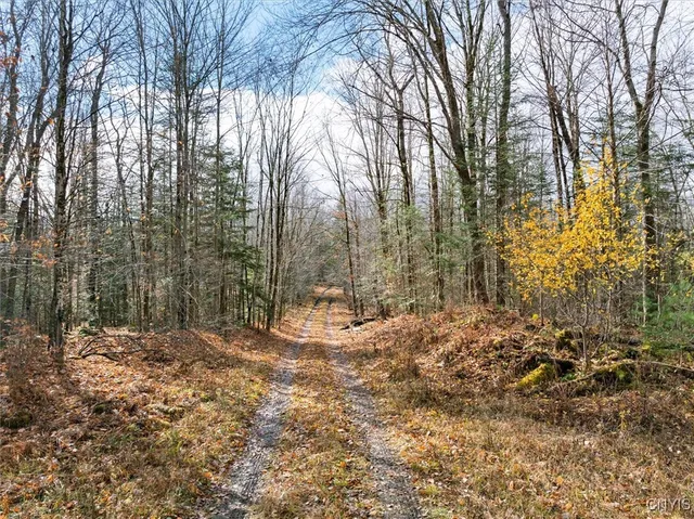 $145,000 | 0 Christman Road, Ohio, NY 13324