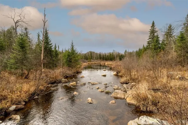 $145,000 | 0 Christman Road, Ohio, NY 13324