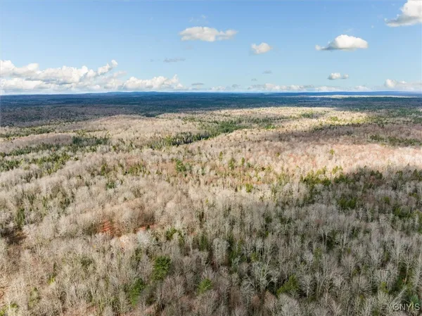 $160,000 | 0 Christman Road, Ohio, NY 13324