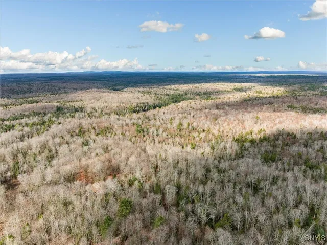 $145,000 | 0 Christman Road, Ohio, NY 13324