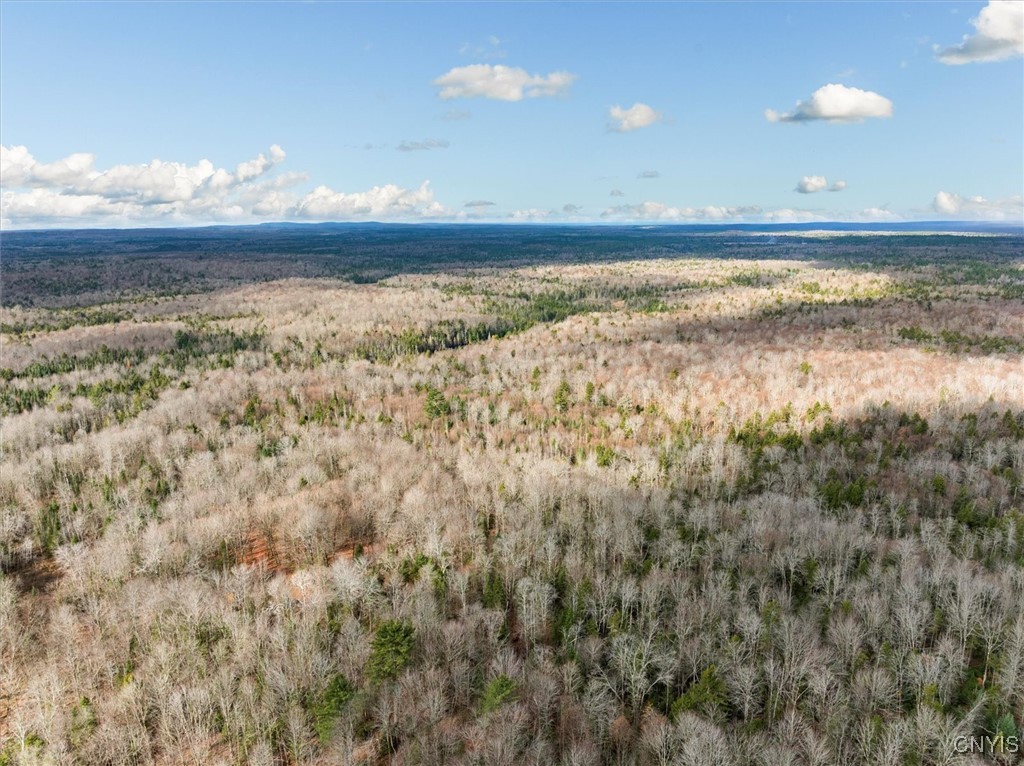 0 Christman Road Ohio, NY 13324 - Photo 10 of 22