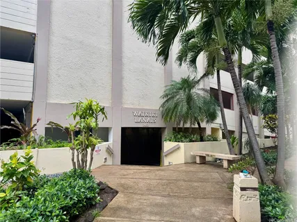 a palm tree sitting in front of a building with potted plants