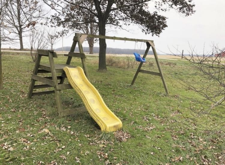 4915 Barnum Road Hastings, MI 49058 - Photo 29 of 42 Swing Set