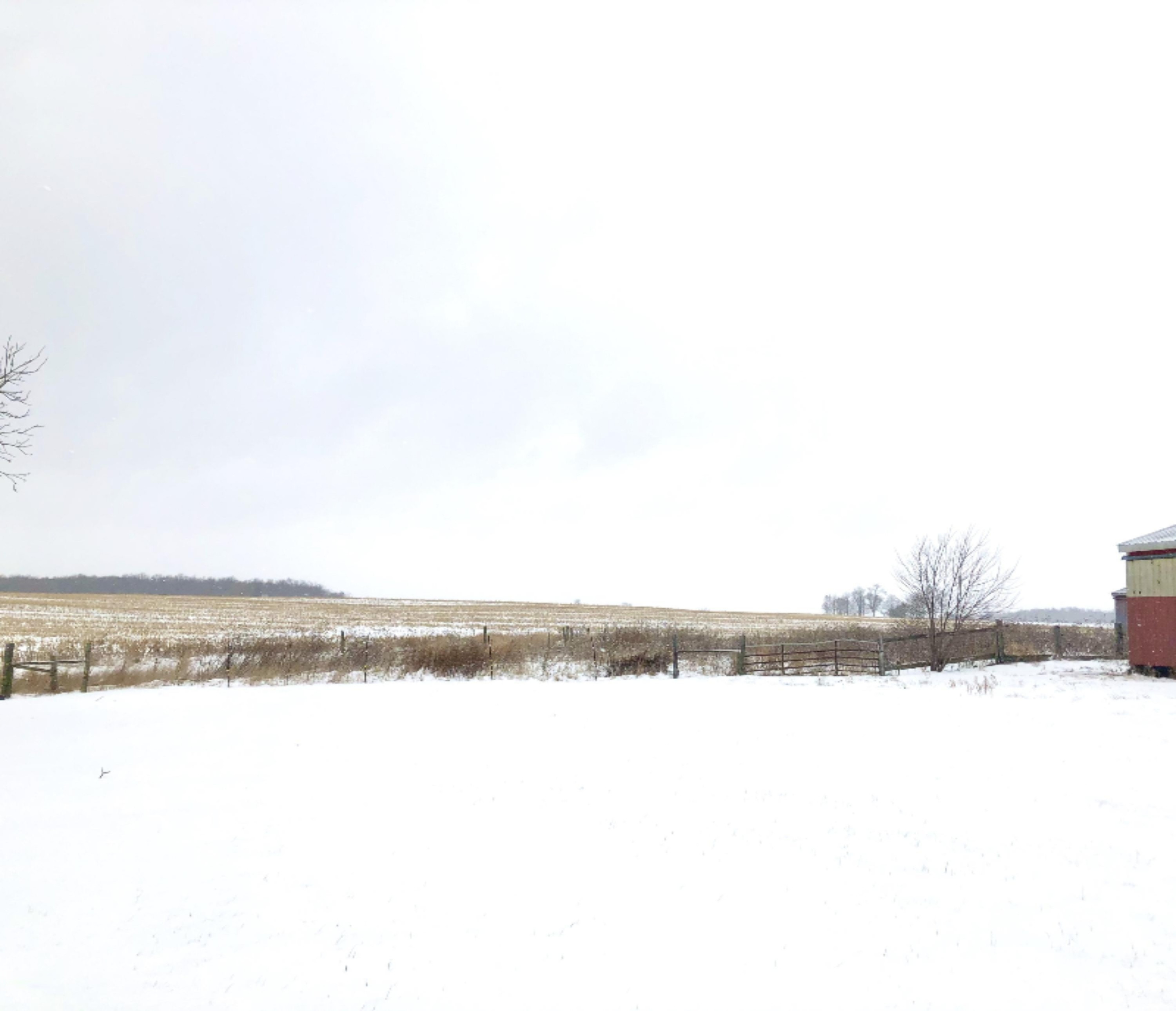 4915 Barnum Road Hastings, MI 49058 - Photo 42 of 42 outside 7