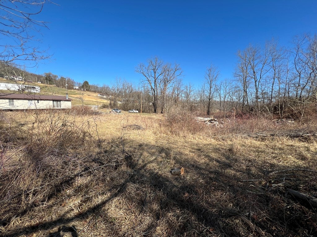 199 Dungeon Spring Road, Unit 2 Wytheville, VA 24382 - Photo 5 of 6 Gallery Image 5