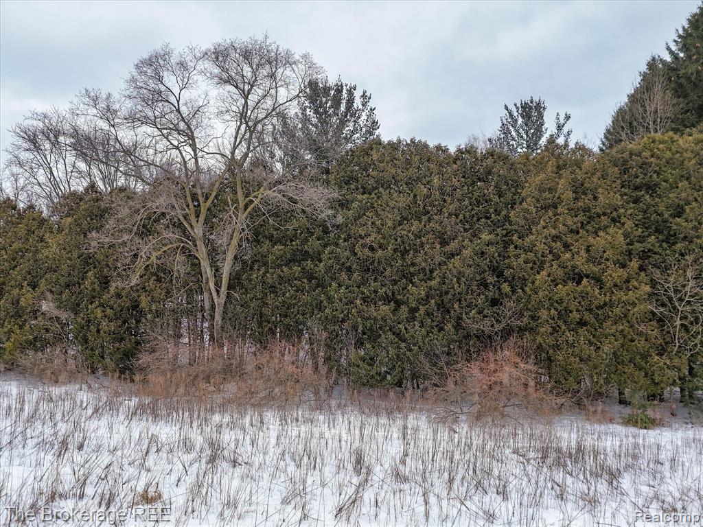 S Gera Road Birch Run, MI 48415 - Photo 10 of 21 Gallery Image 10