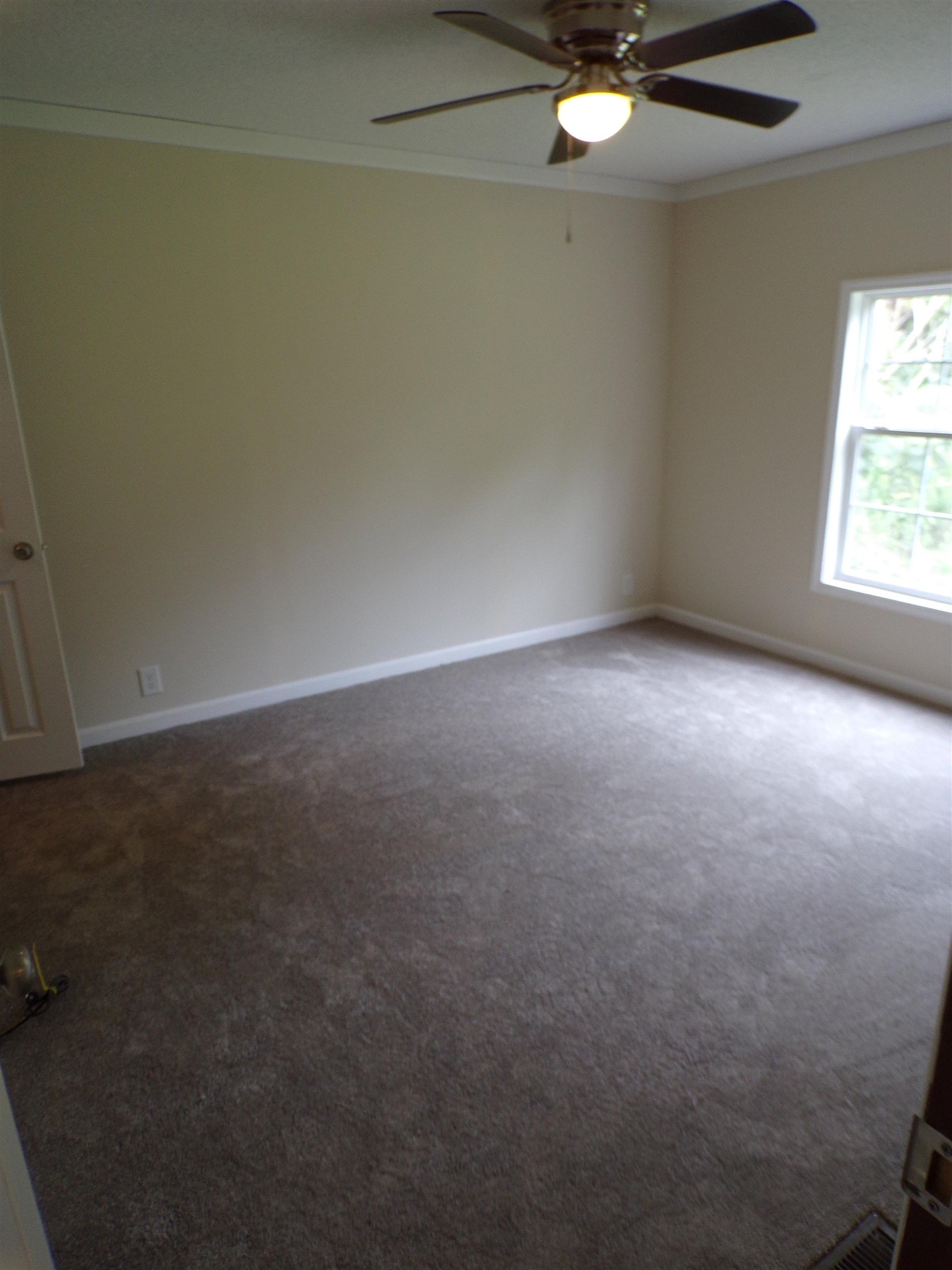 170 John David Road Gordon, AL 36343 - Photo 19 of 19 Gallery Image 19