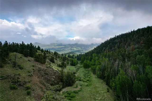 a view of a city with lush green forest