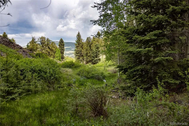 a view of a city with lush green forest