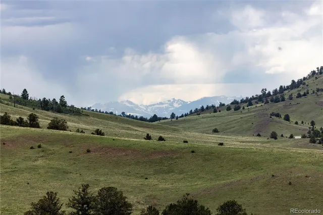 a view of a big yard with lots of green space and mountain view