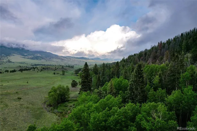a view of a big yard with lots of green space
