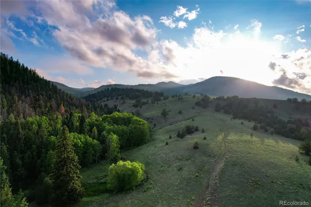 a view of a street with a yard