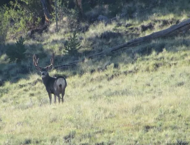 a balcony with table and chairs