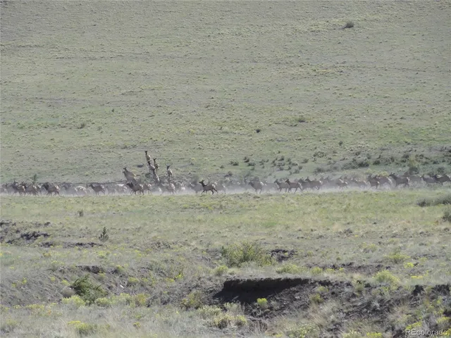 a view of a dry yard