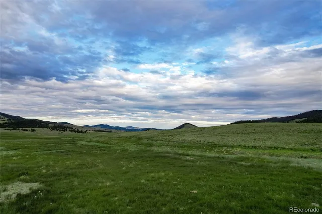 a view of a field with an ocean