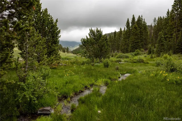 a view of a yard and mountain in the back