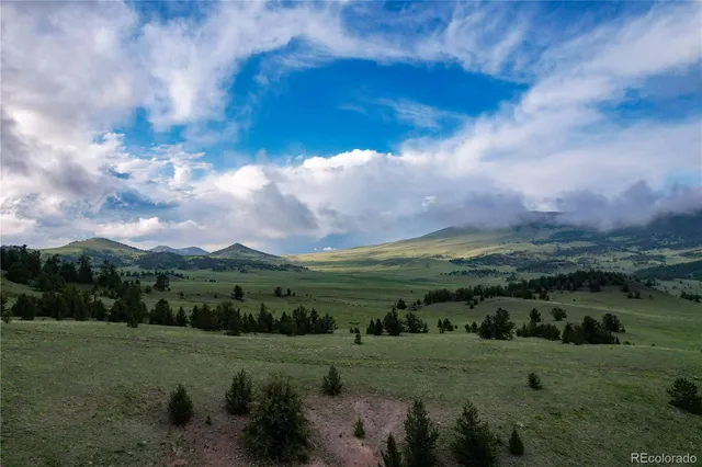 a view of a field with an ocean