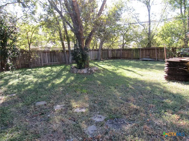 a view of backyard with tree