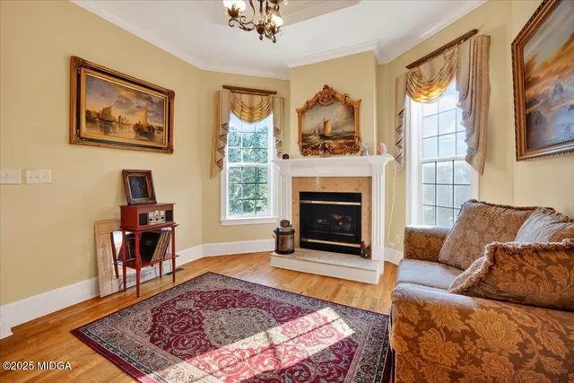 a living room with furniture or couch and a fireplace