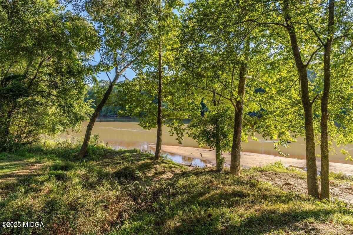 176 Tumbling Shoals Drive Gray, GA 31032 - Photo 38 of 52 a view of a yard with trees
