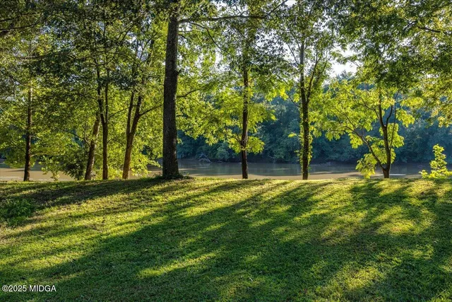 a view of a house with a yard and potted plants