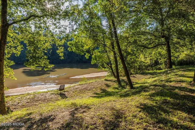 a view of a yard with trees