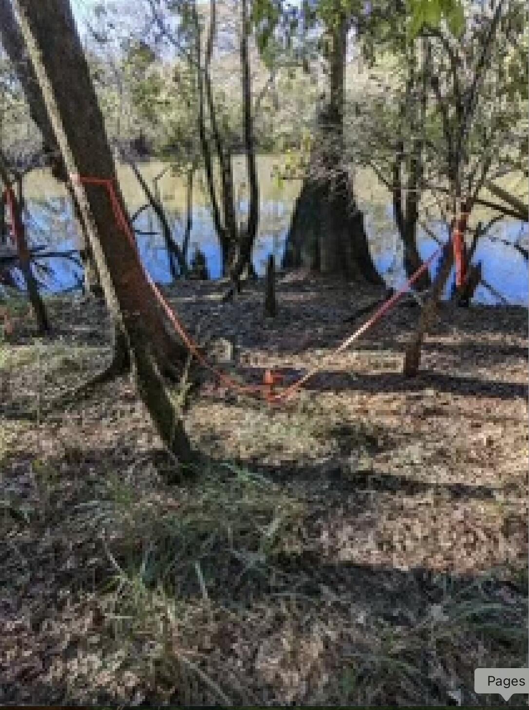 Tbd Strickland Road Ebro, FL 32437 - Photo 12 of 36 a view of yard covered with snow
