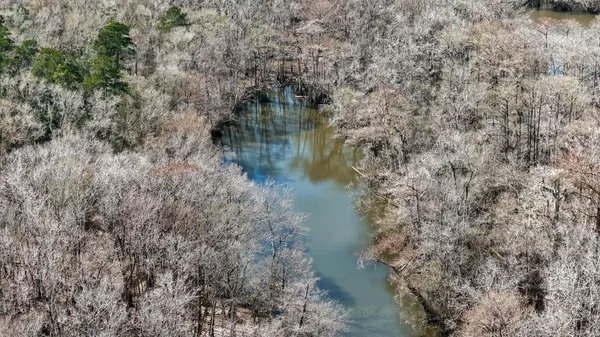 a view of a lake from a forest