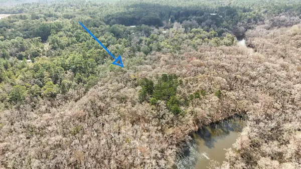 a view of a forest with a lake