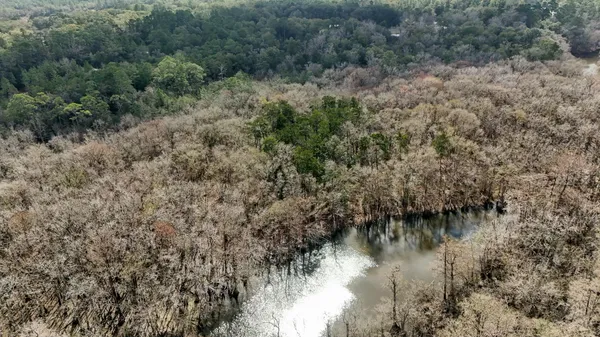a view of a lake in middle of forest