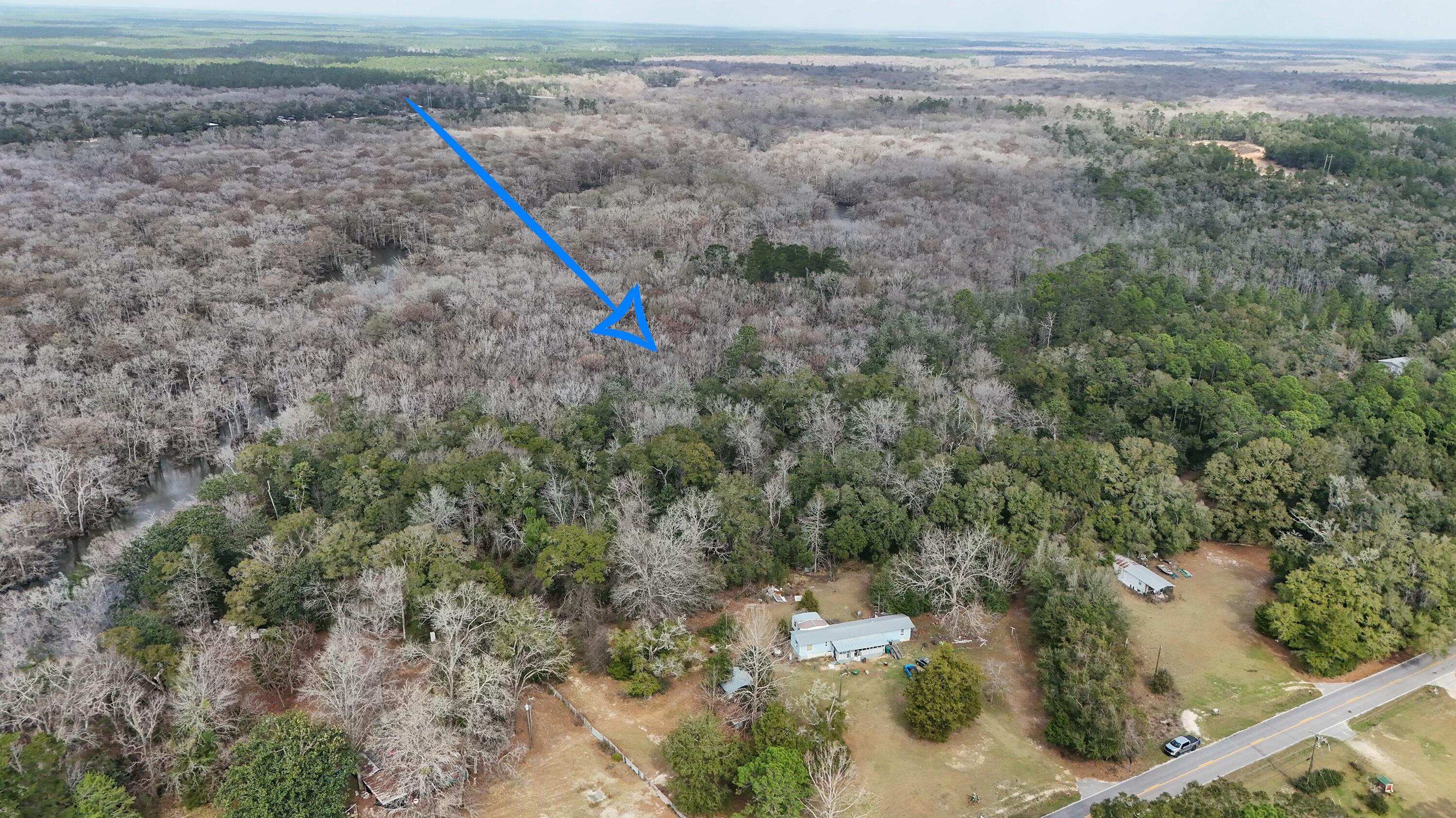 Tbd Strickland Road Ebro, FL 32437 - Photo 19 of 36 a view of a forest with a street