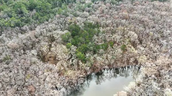 a view of a lake with a tree